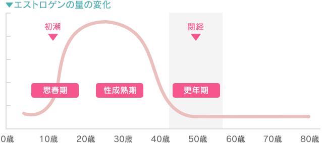 年齢とエストロゲン量変化のグラフ